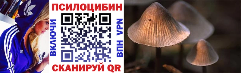 Псилоцибиновые грибы мицелий  Дедовск 