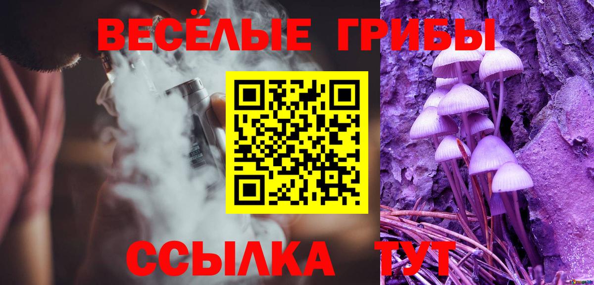 Дедовск  Псилоцибиновые грибы прущие грибы  Вход с VPN  Псилоцибиновые грибы MAGIC MUSHROOMS 